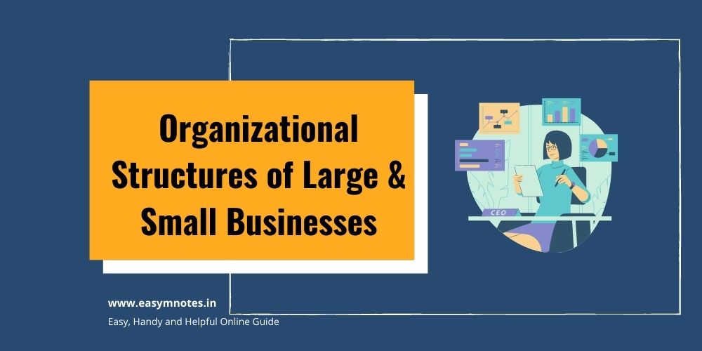 Organizational Structures of Large & Small Businesses