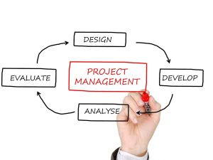 Best Project Management Tools in 2024