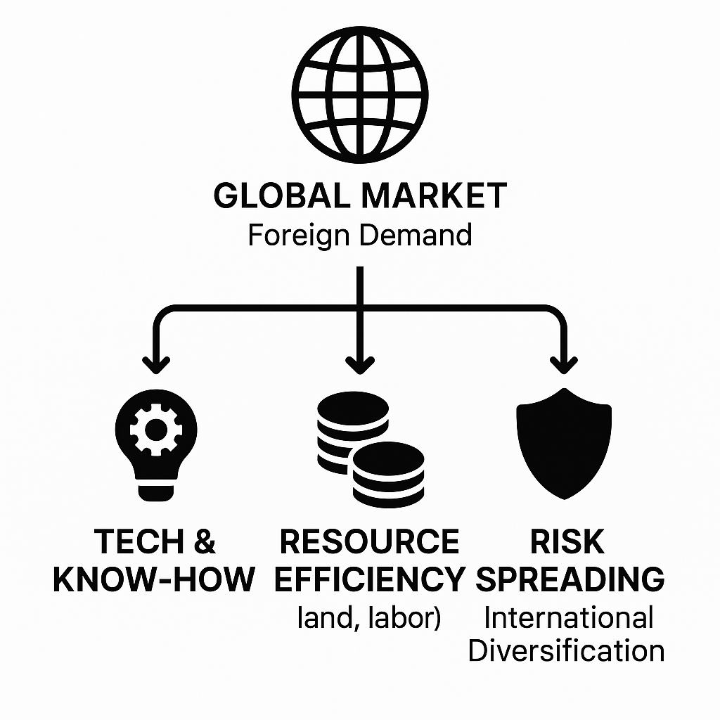 objective of international business