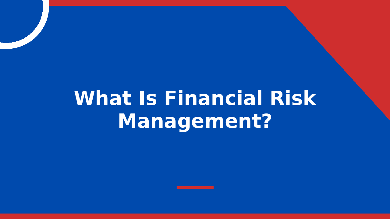 What Is Financial Risk Management