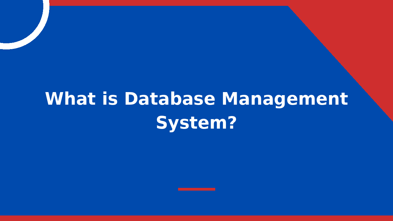 What is Database Management System